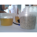 Muestra Imagen Gel y algas polvo